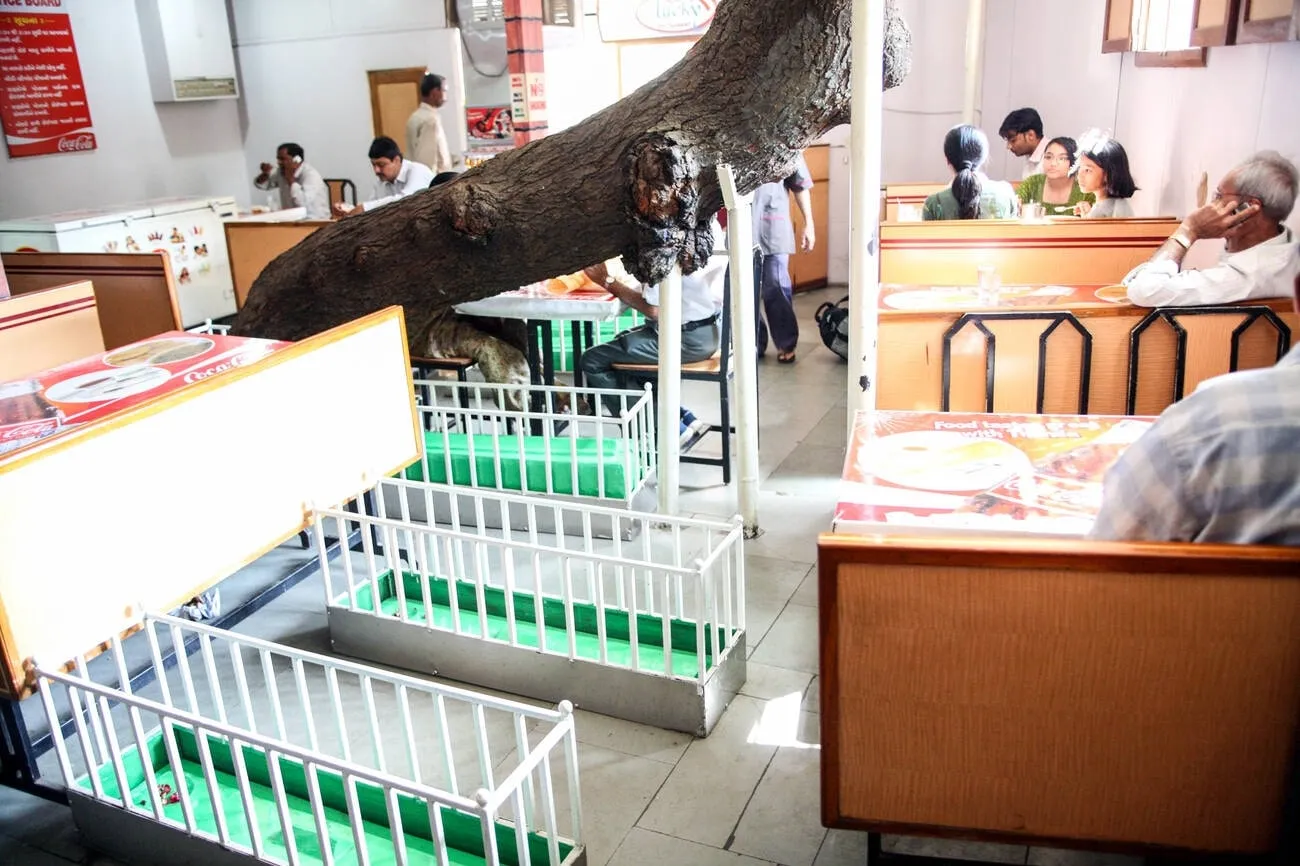 Tea with the dead? This Ahmedabad café is built on a graveyard and considered lucky by locals