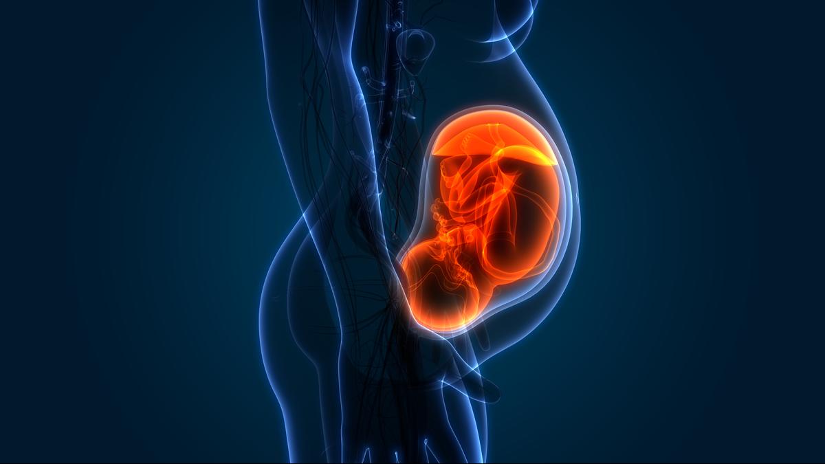 Artificial Wombs: Future of Birth or Threat to motherhood itself?