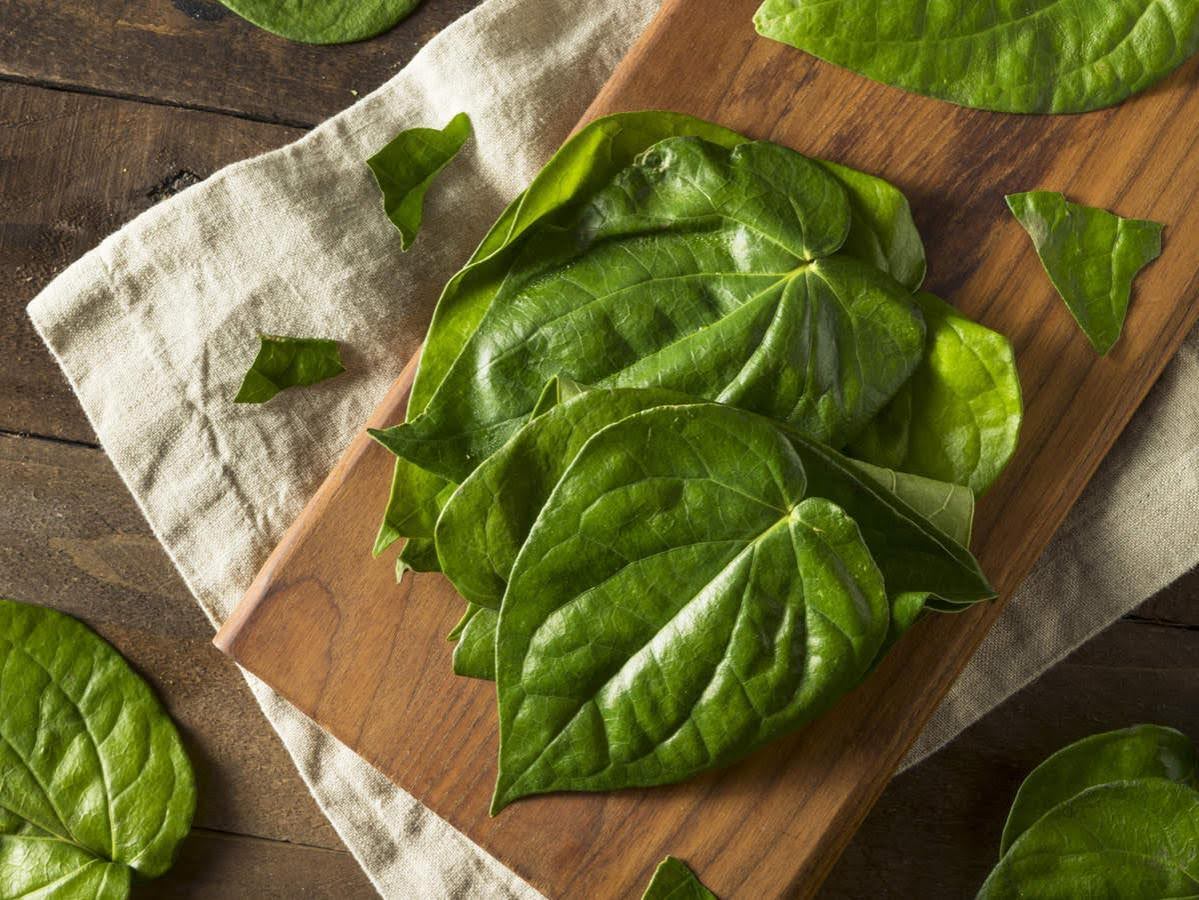 Cold and cough troubling you? No more health-damaging pills. Eat betel leaves!