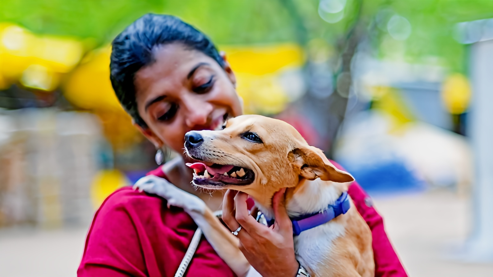 Fur Real: India’s Pet Revolution Turns Paws into Family Members!