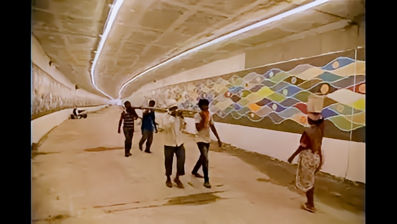 Nagpur Locals Take Charge,  Inaugurate Manish Nagar Underpass Themselves