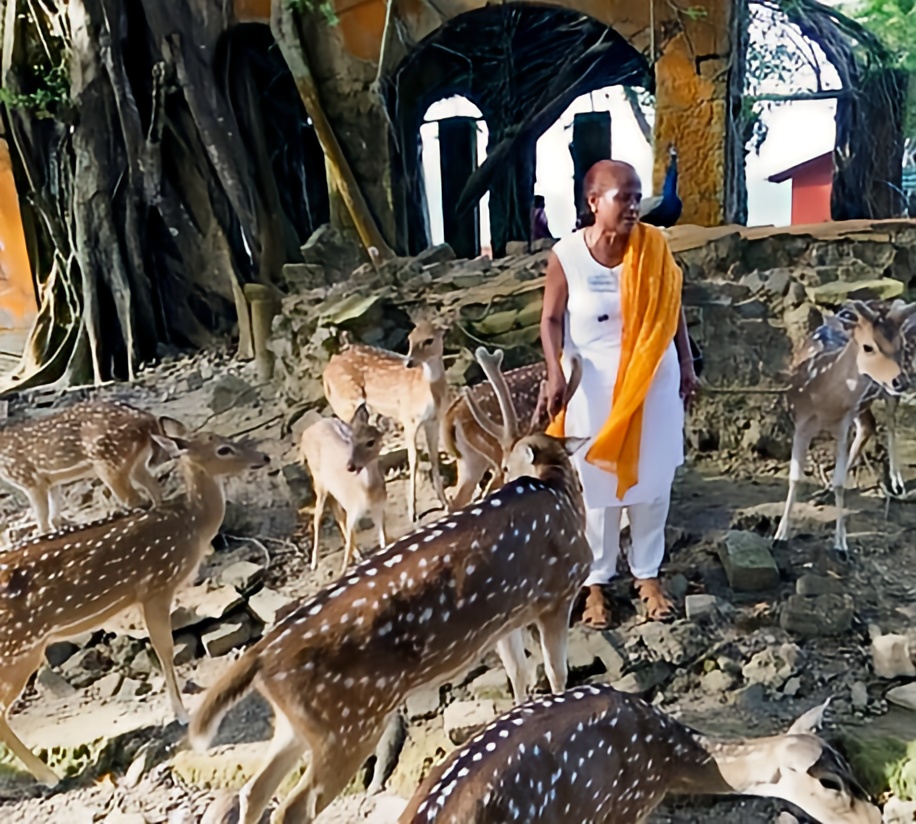 Who is Anuradha Rao, India's Deer Whisperer?
