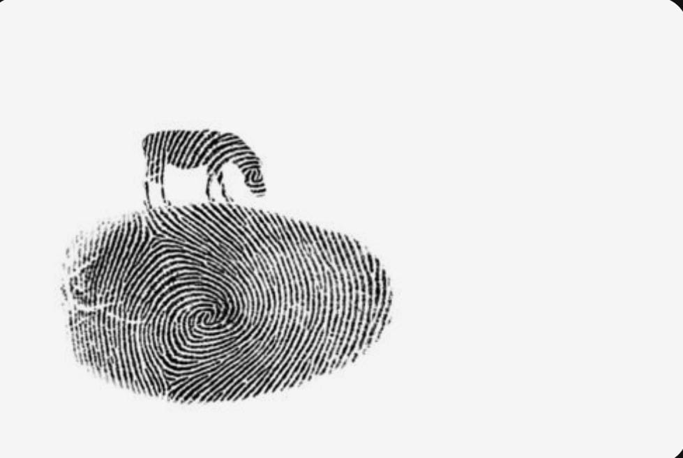 Stripes, Fingerprints, and You: Why Aging Doesn’t Define Identity