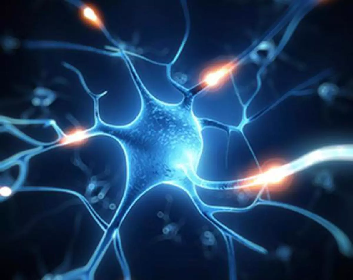 Doctors Warn: This Common Food May Trigger a Rare, Life-Threatening Disease!