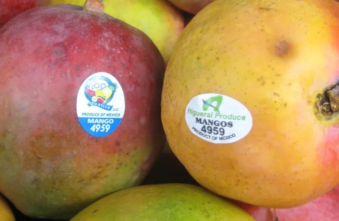 What Are the Secrets Behind Food Stickers?