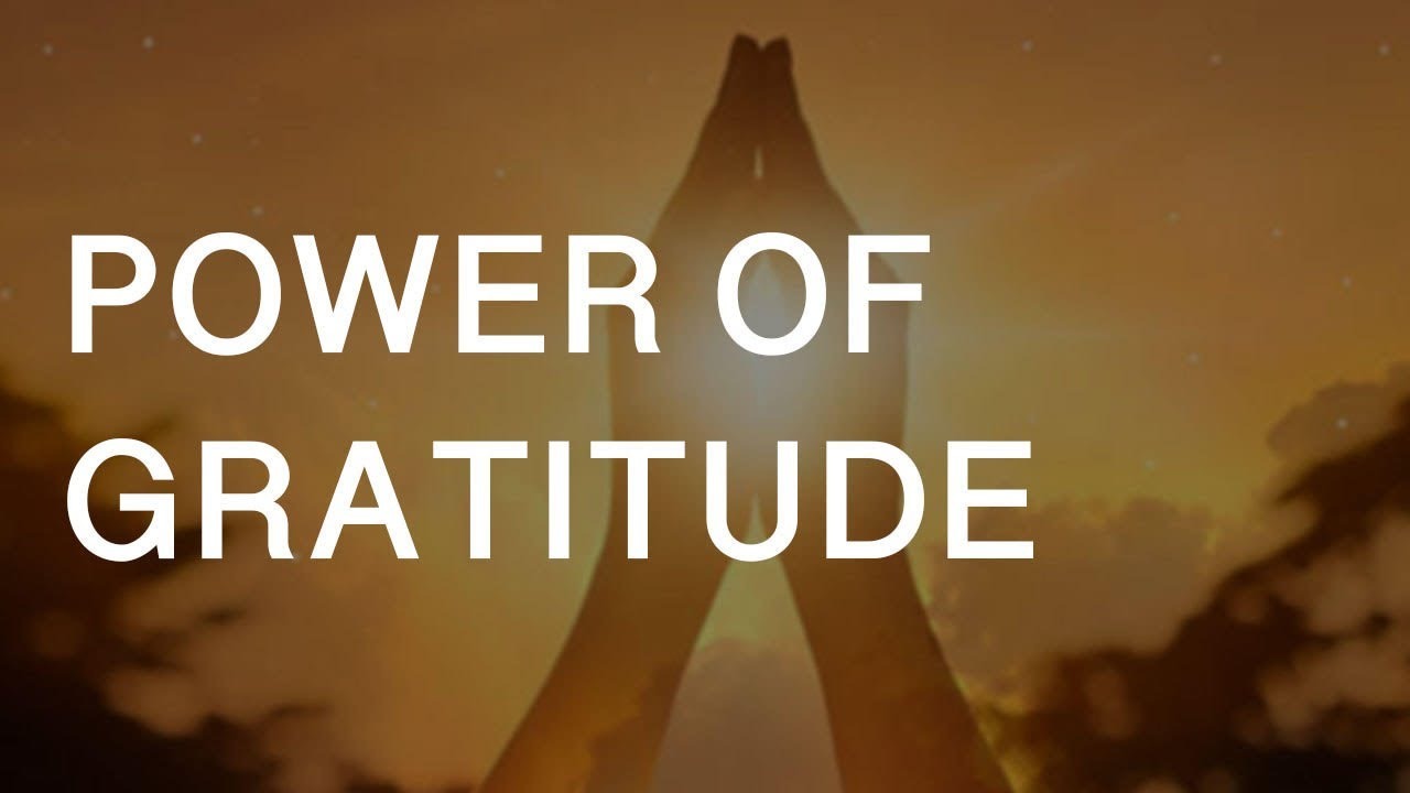 The Transformative Power of Gratitude