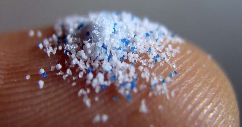 Microplastics in the Brain: A Hidden Threat to Human Health