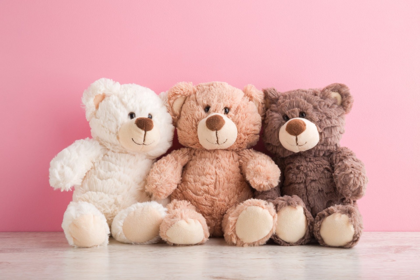 The Secret Origins of the Teddy Bear