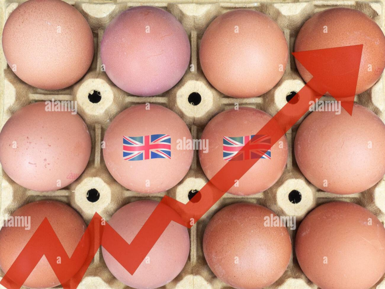 Egg Prices Soar to Record High Amid Bird Flu Crisis – How Much Worse Can It Get?