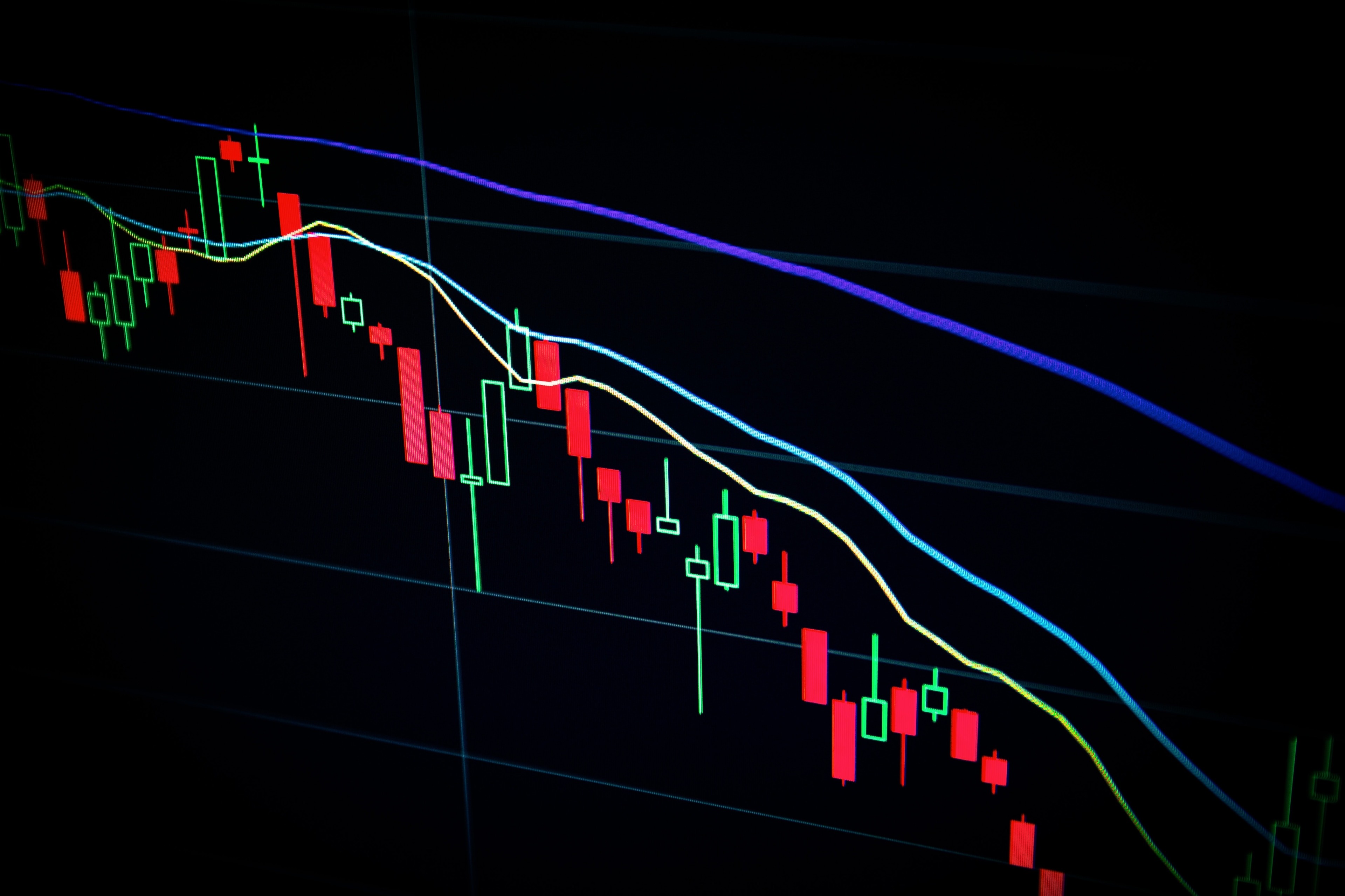 Pharma stocks fall as Nifty 50 drops following Trump's 25% tariff announcement