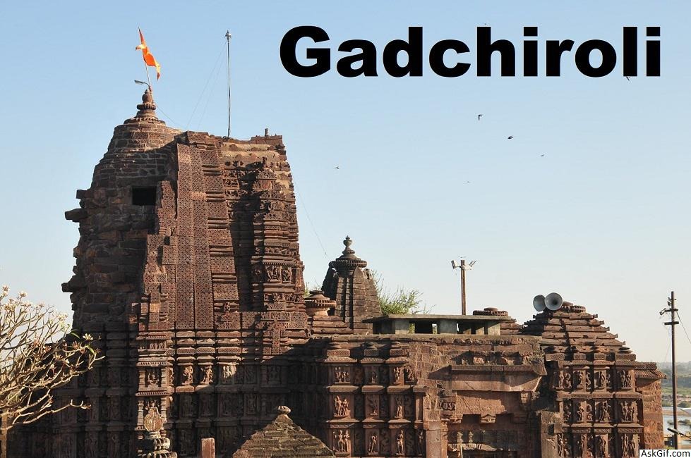 Gadchiroli: Where ancient wisdom meets a modern fight for survival!