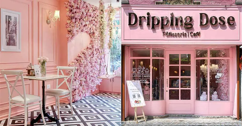 Dripping Dose: East Patel Nagar’s Foodie Paradise!