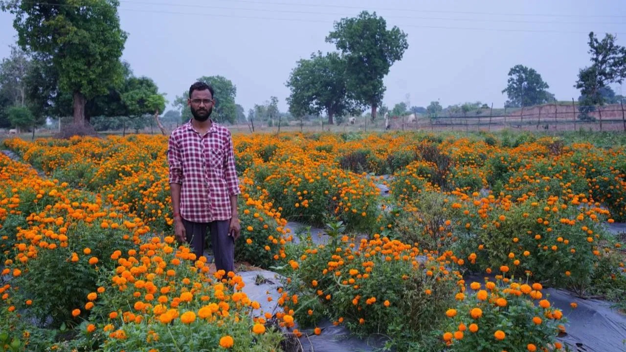 Can growing flowers be more profitable than crops?