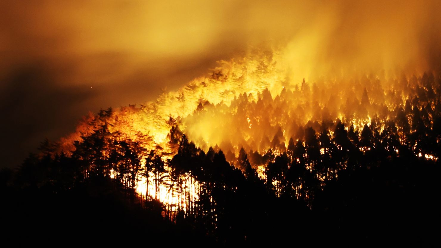 The sky turns red, panic spreads- What's happening in Japan?