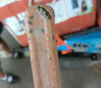 Thai man's ice cream horror unveils deadly snake!