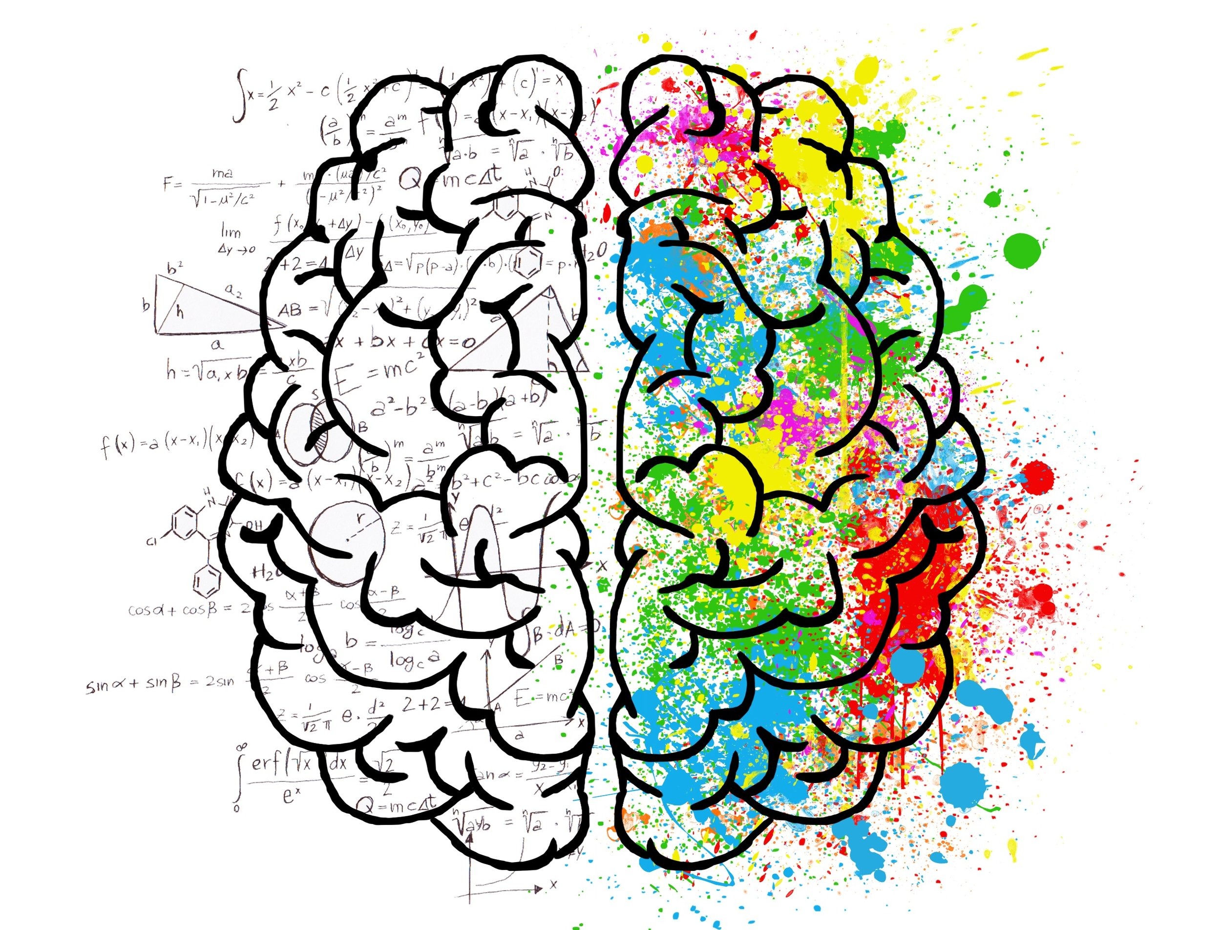 Are you left-brained or right-brained?