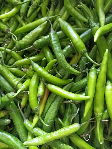 Spice Up or Mess Up? The Chilli Debate