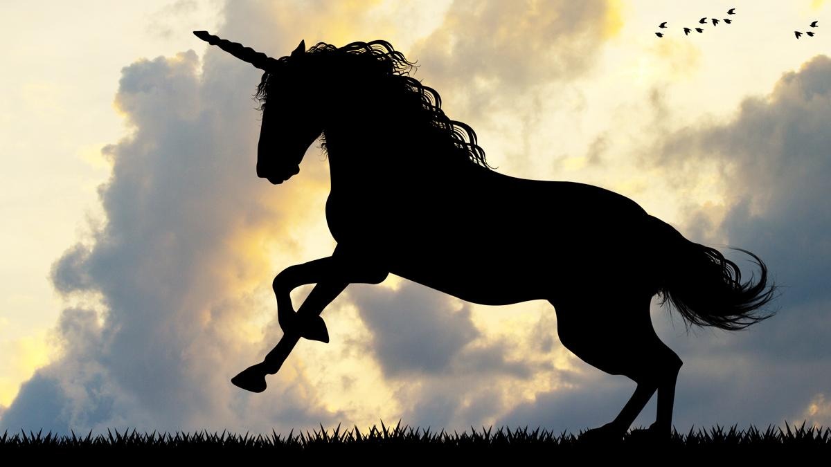 What is a Soonicorn?