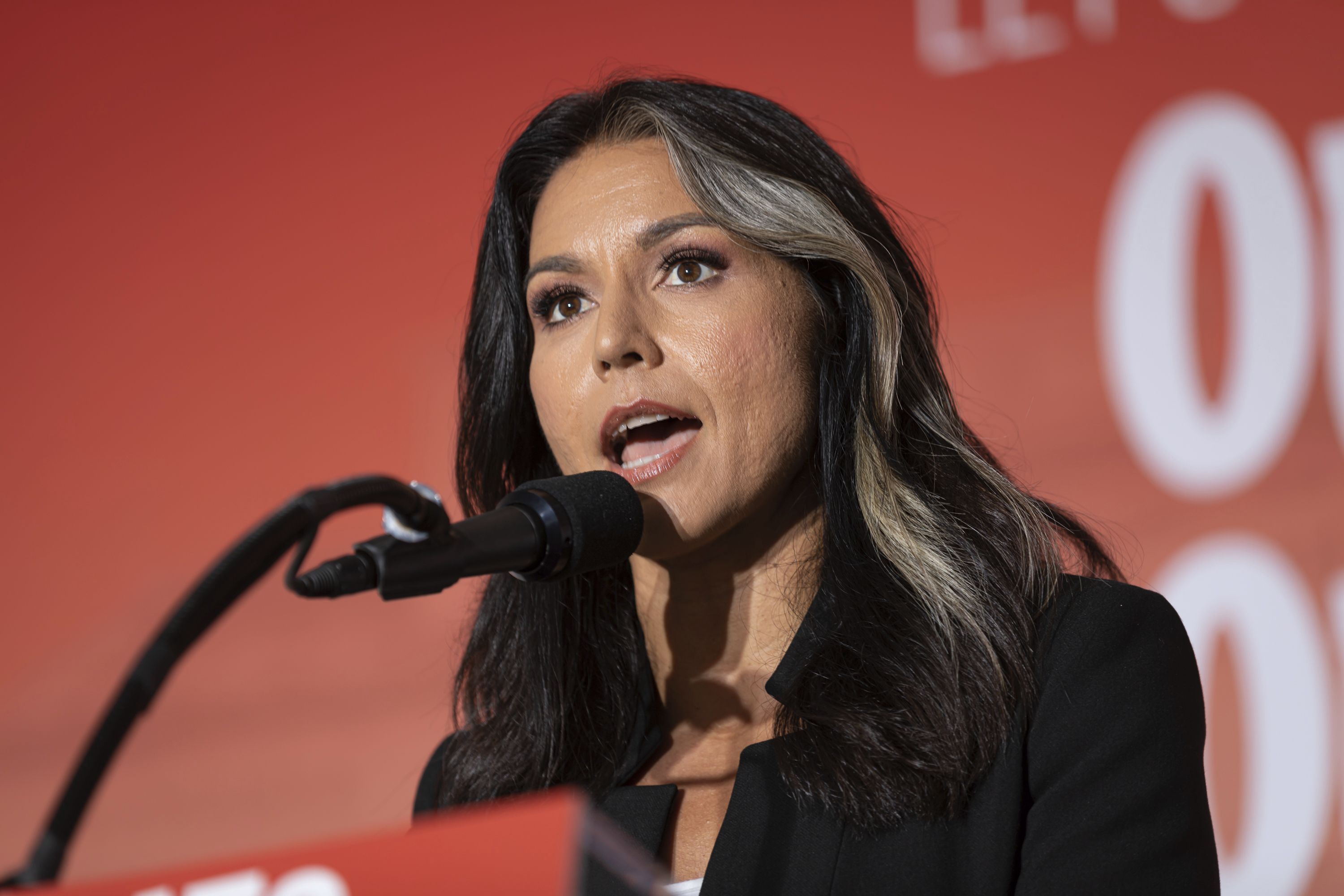 Bangladesh Slams Tulsi Gabbard’s Remarks: US Issues Urgent Clarification!