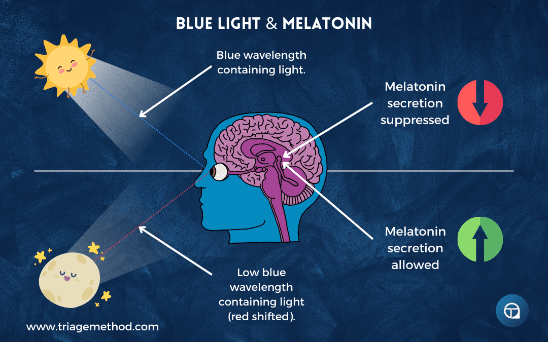 Skip the Blue, Go Red: Sleep's Lit!