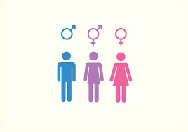 What is the difference between gender and sex?