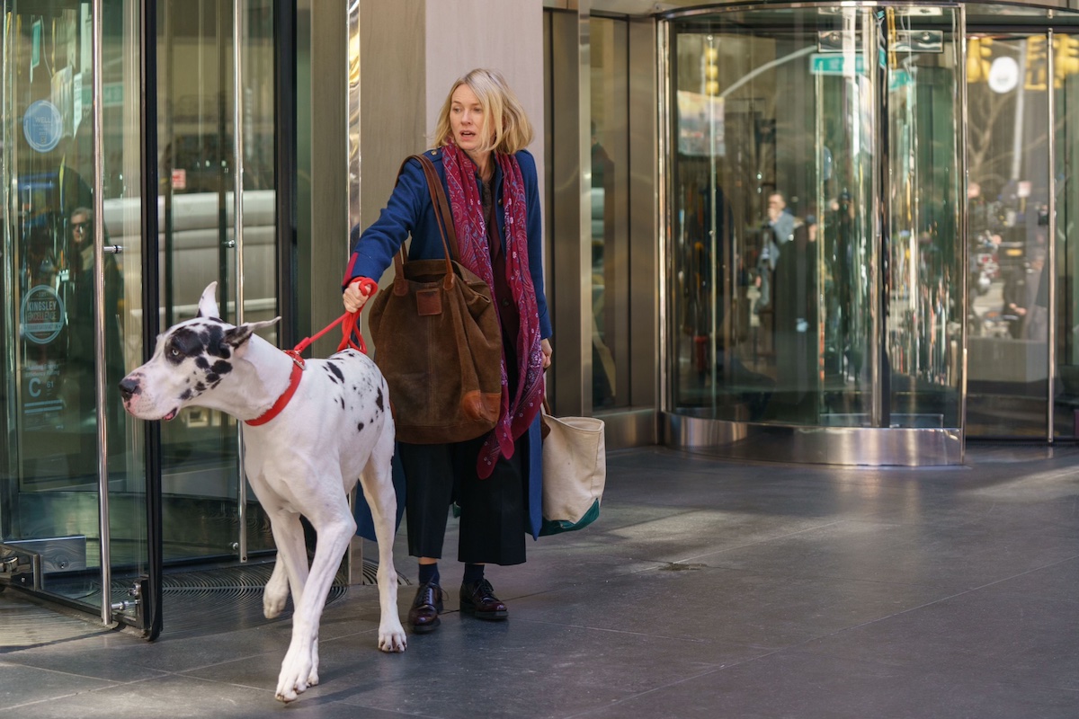 Meet Hollywood’s newest star: A 150-pound dog stealing the spotlight!