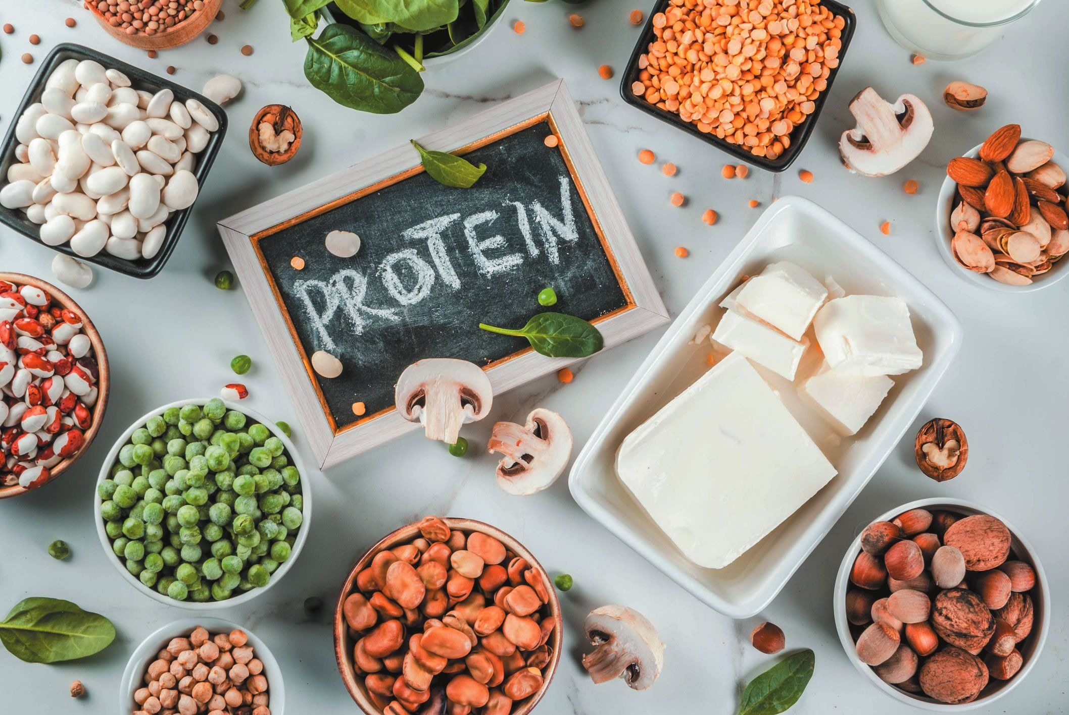 Can you actually get enough protein from plant- based proteins?
