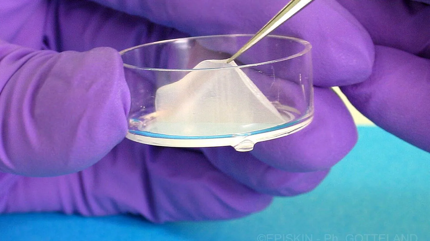 Say Goodbye to Animal Testing – 3D-Printed Skin is Here!