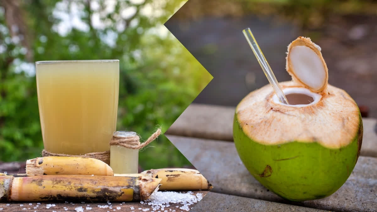 Coconut Water vs Sugarcane Juice: Which One Is Your Secret to Weight Loss & Energy?