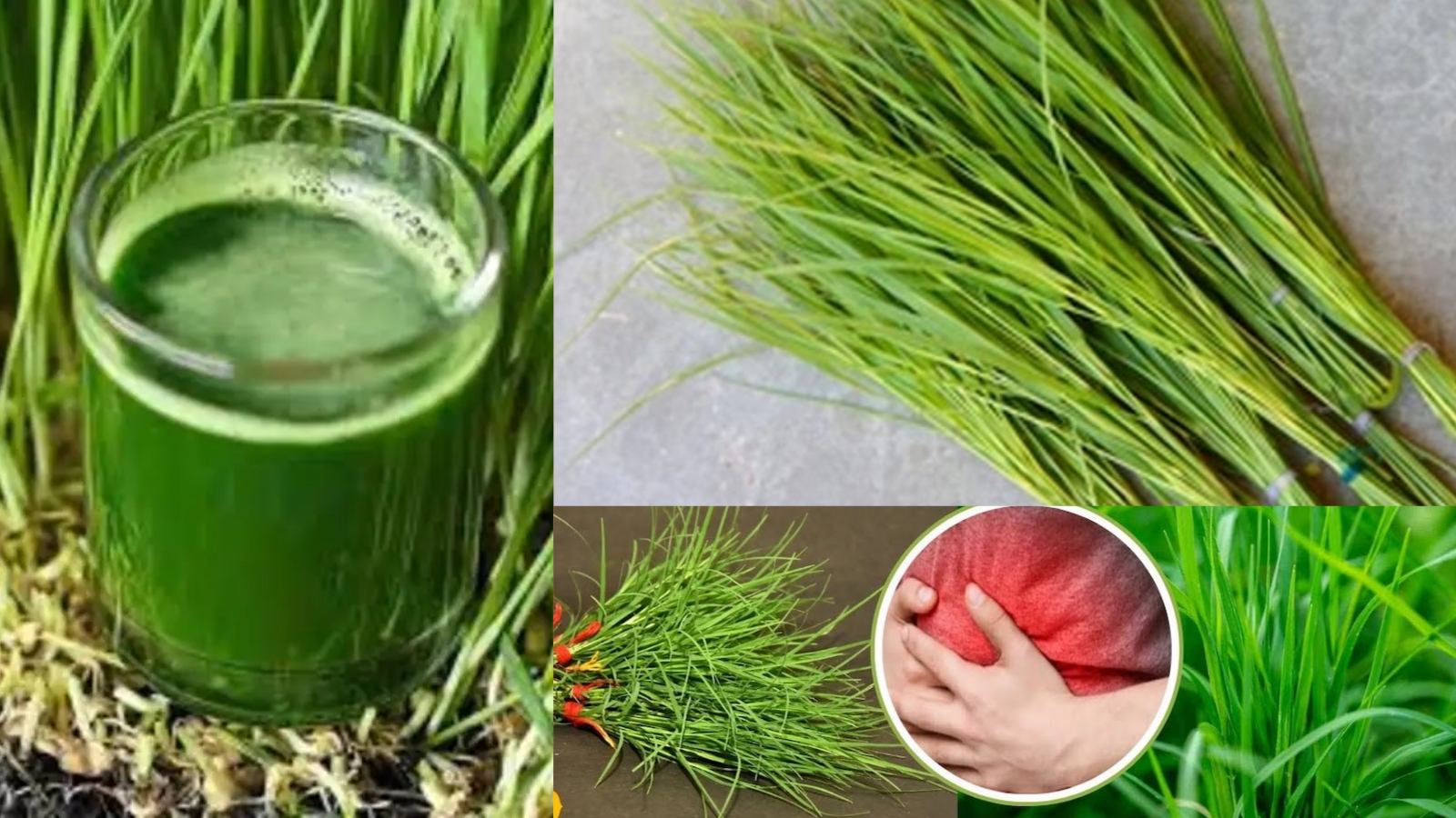 You’re Ignoring a Supergrass That Could Heal Your Headaches Naturally!