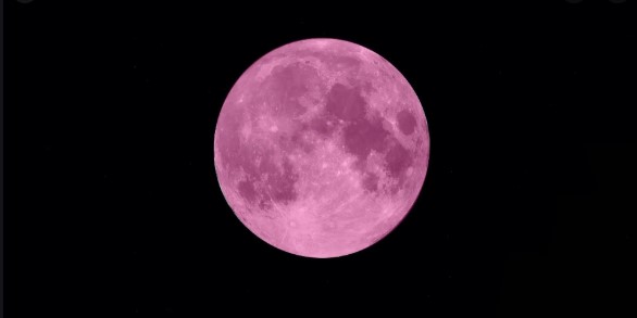 Pink Moon Rises! Why This One's Extra Special!