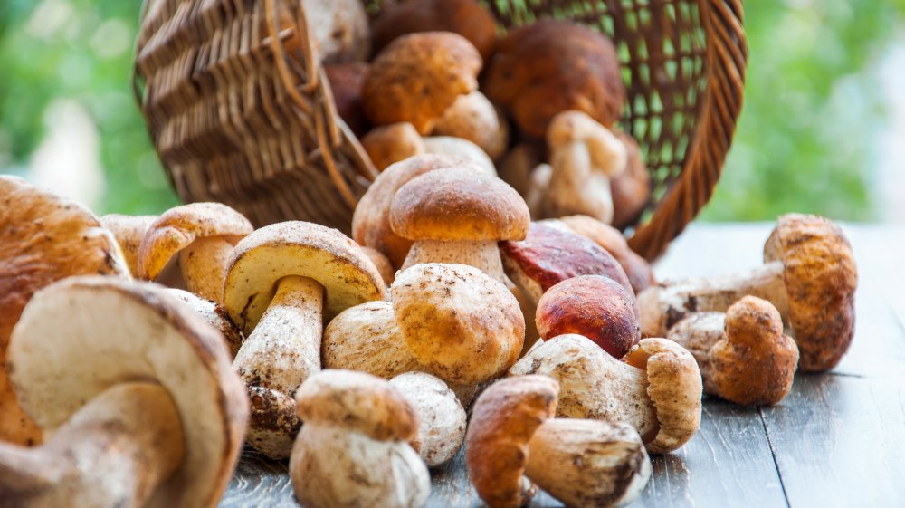 These 3 mushrooms could help block tumor growth-no prescription needed.