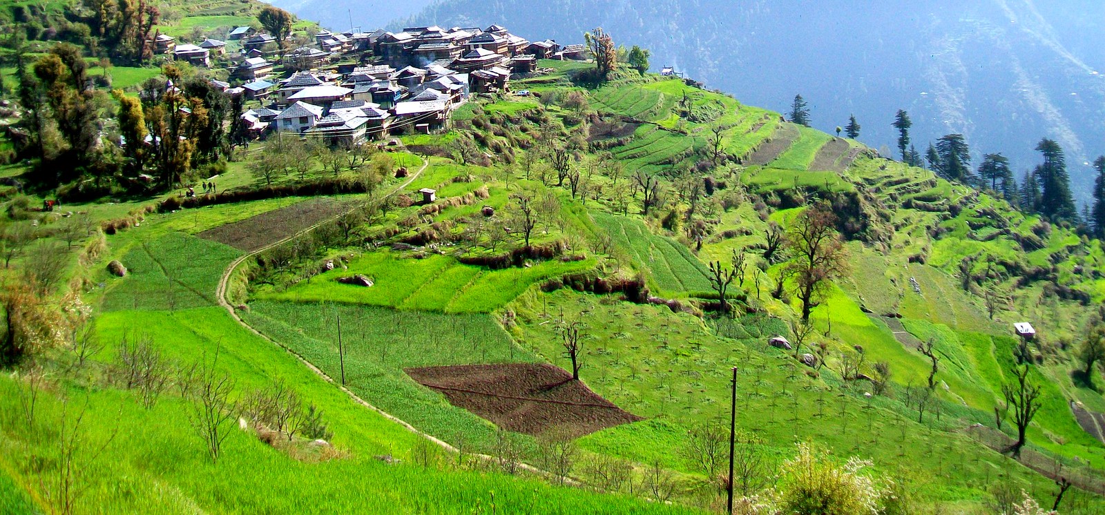 Sharchi: Where time slows down and the Himalayas speak in silence