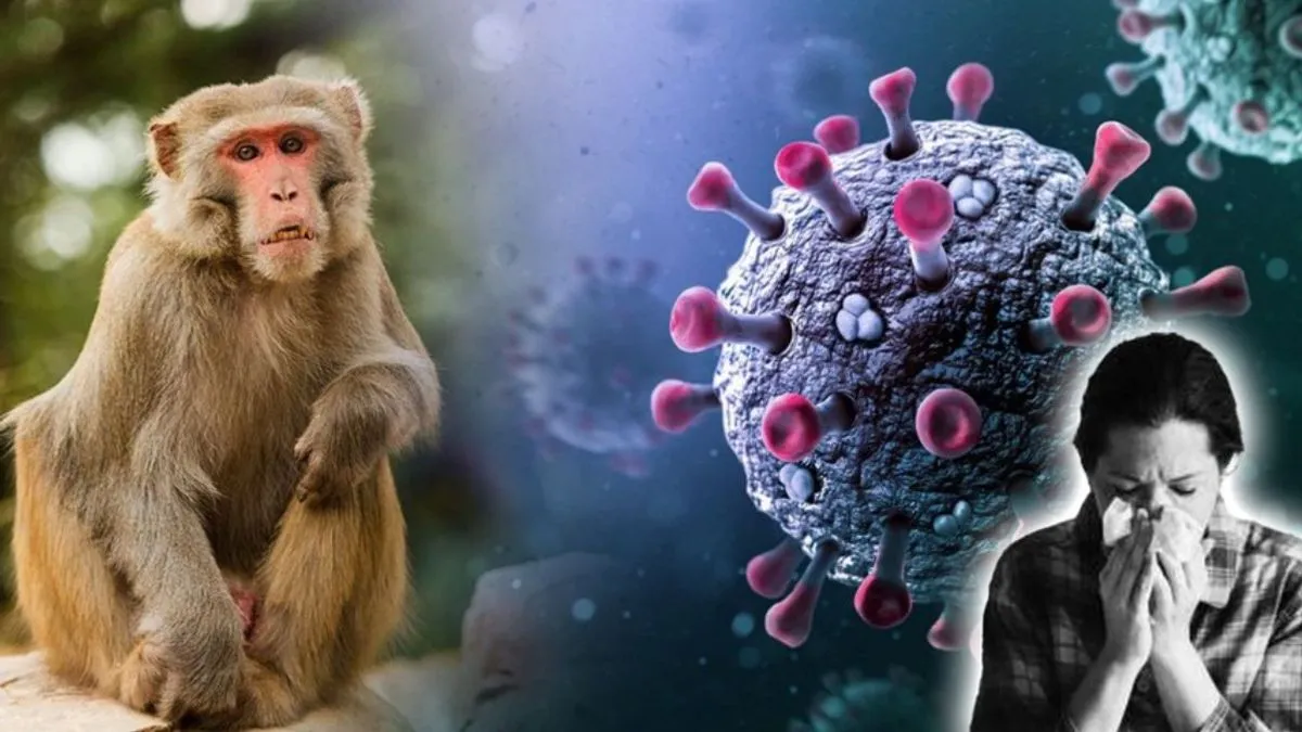 Karnataka Boy Dies of 'Monkey Fever'—Third KFD Death in 2025