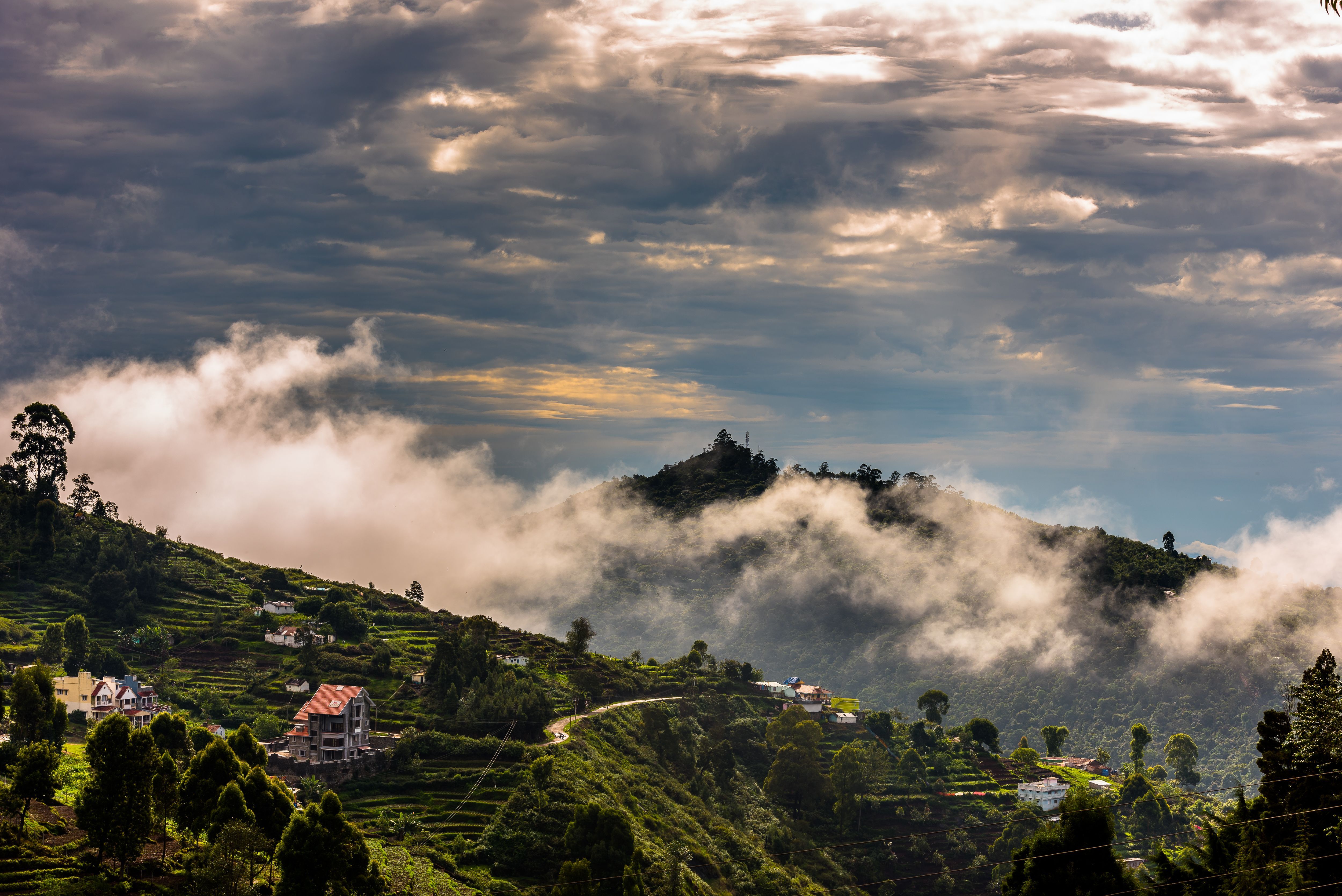 Planning a trip? These flower spots are trending right now!