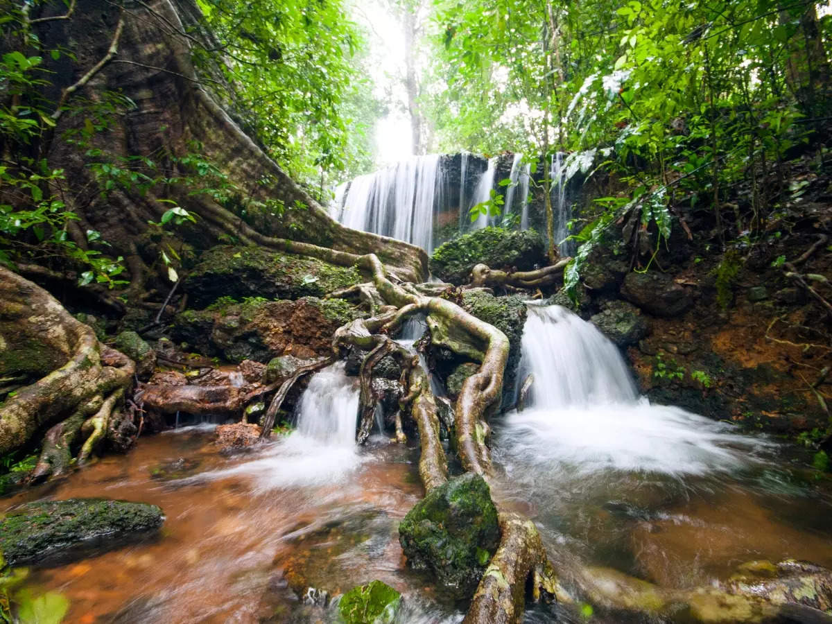 India’s hidden monsoon escapes are calling, see the 8 dreamy spots now!