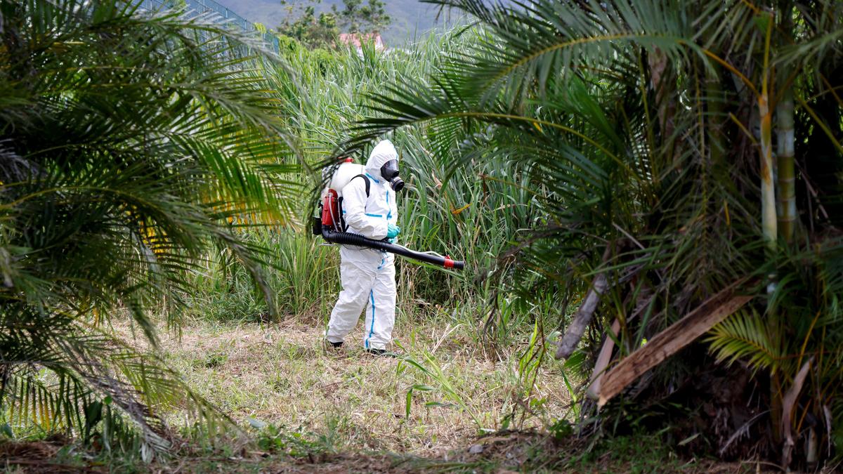 WHO warns Chikungunya could trigger global epidemic. India, Europe already hit