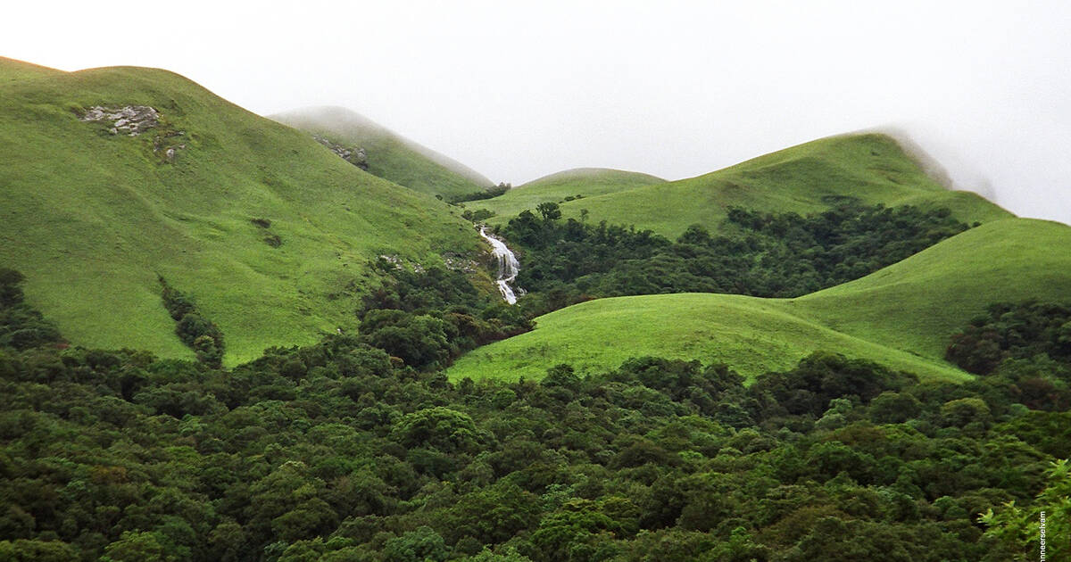 Western Ghats Flagged as Global Ecological Alarm!
