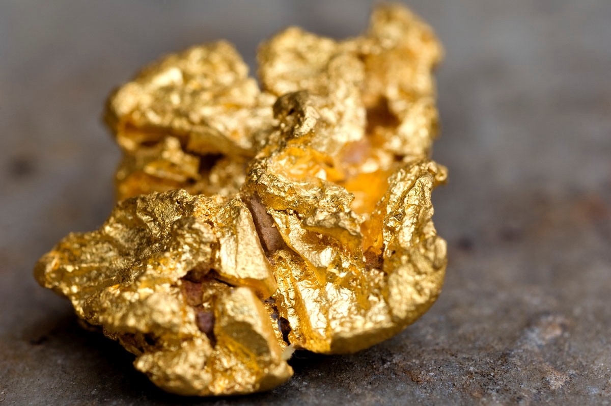 This rare bacteria turns toxic metal into pure gold!