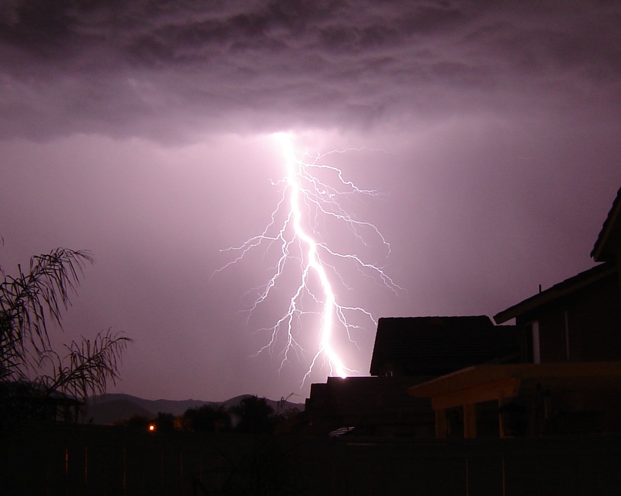 Tragedy in Uttar Pradesh: Lightning kills 4 children while grazing buffaloes!