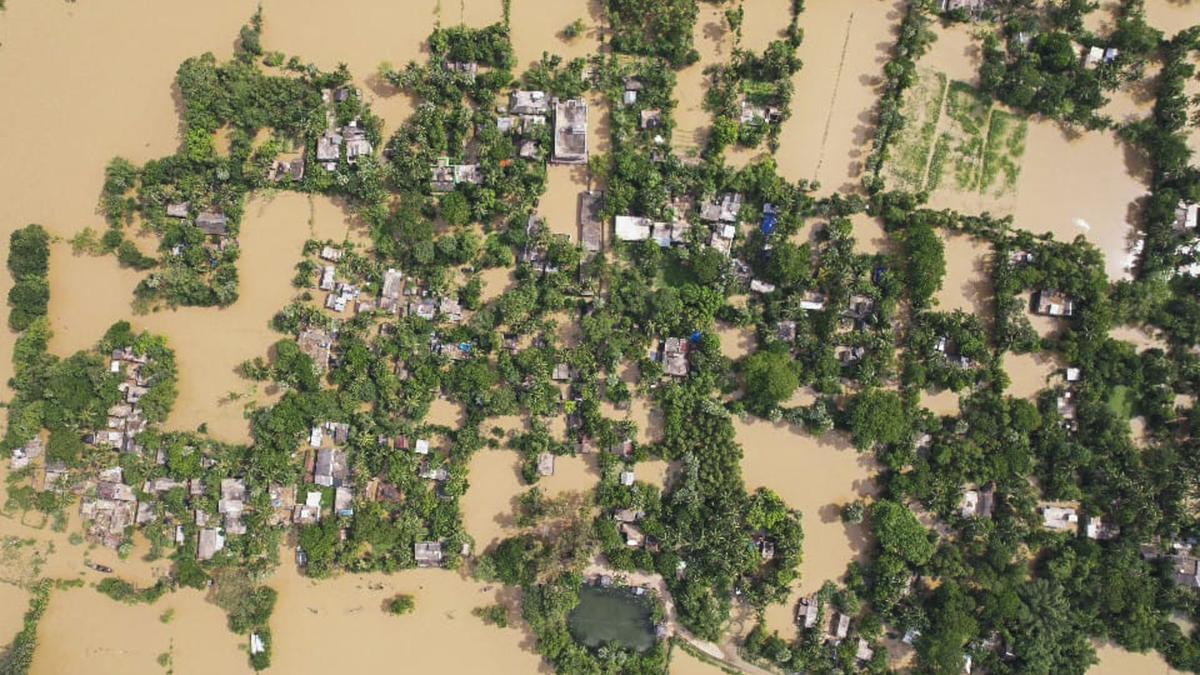 River overflows in Odisha: Massive flood affects 50,000!