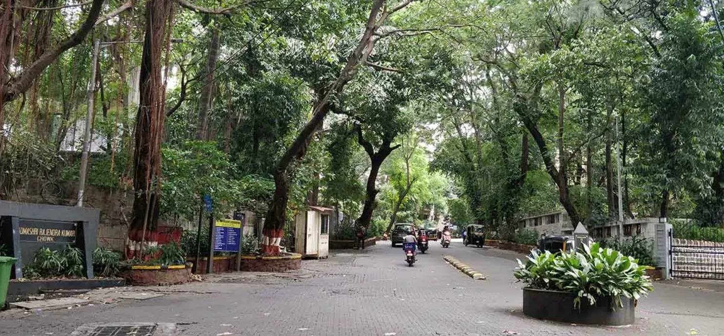 How a few women made pali hill Mumbai’s eco oasis!