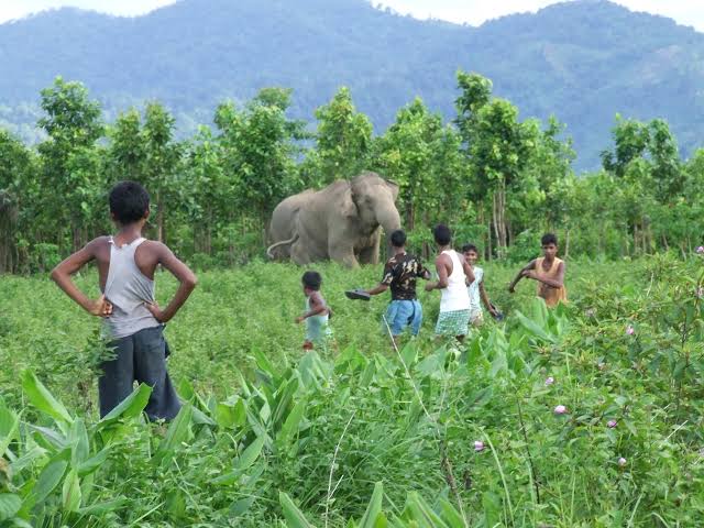 Coexistence, conservation and justice in human-wildlife India!