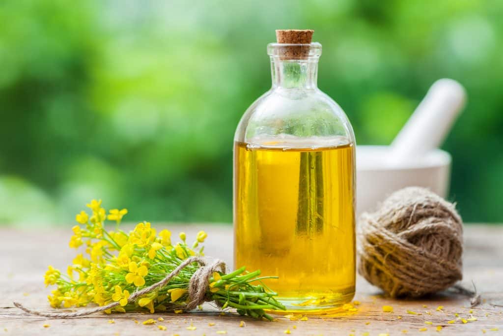 Which cooking oil should you be using? Find out the healthiest options!