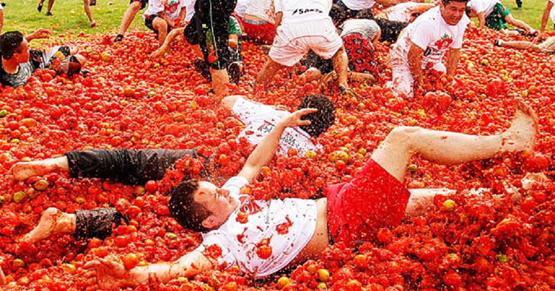 India's first Tomato War is here!