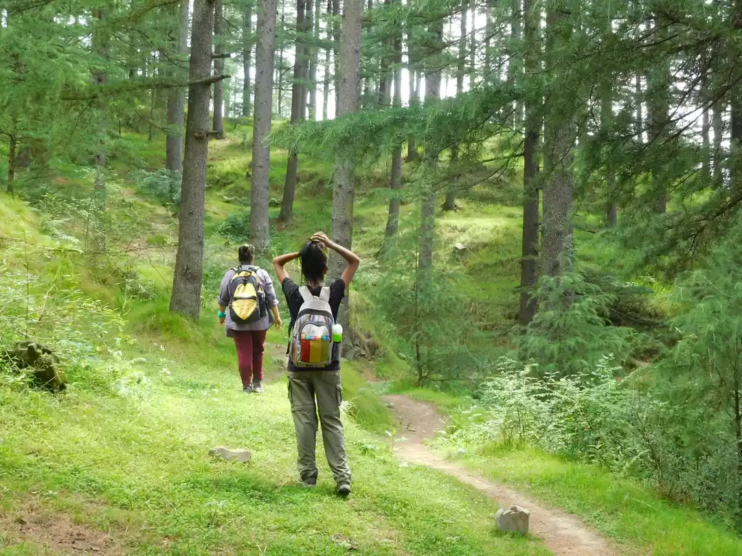 Dare to go off-map  These treks are wild  beautiful  and barely touched