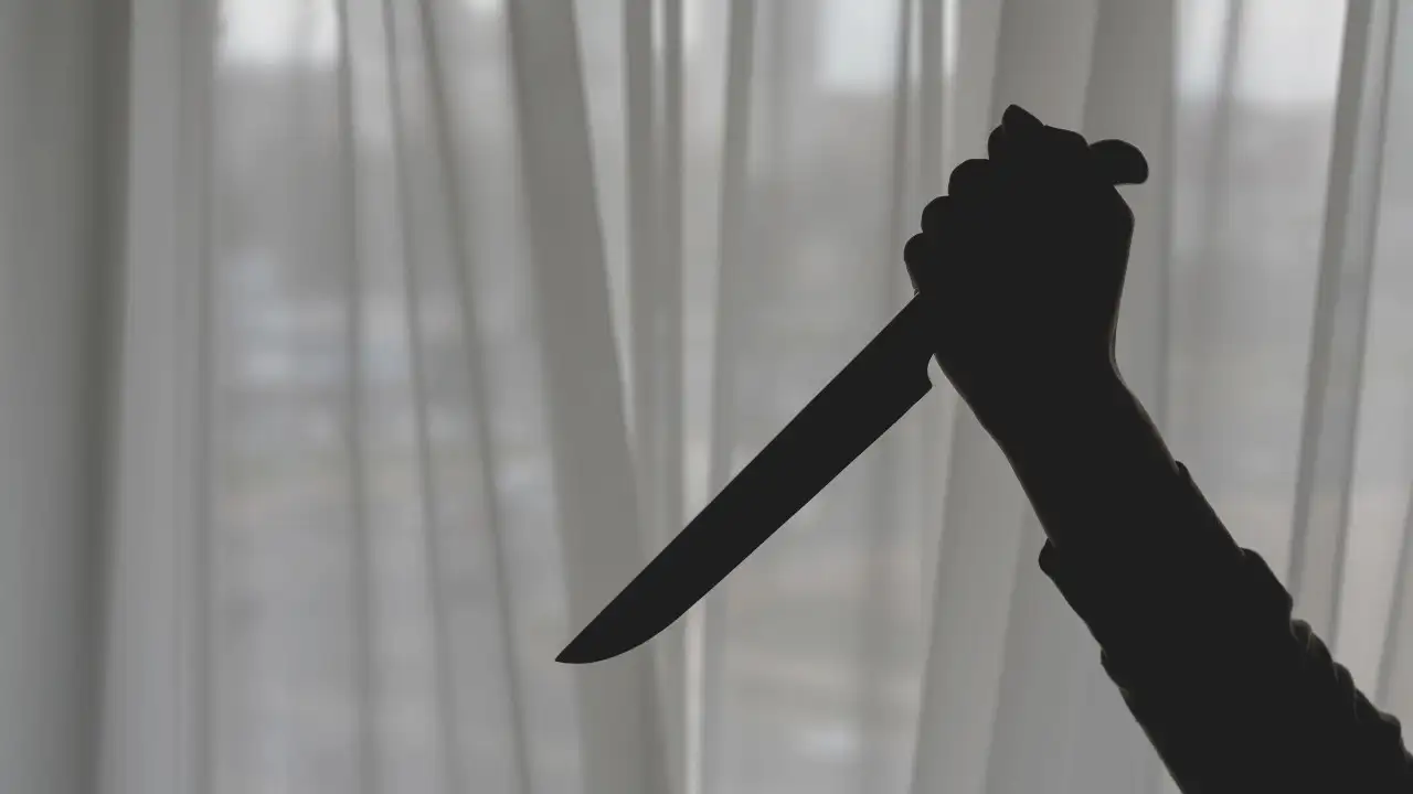 Noida man stabs wife to death, surrenders at police station!