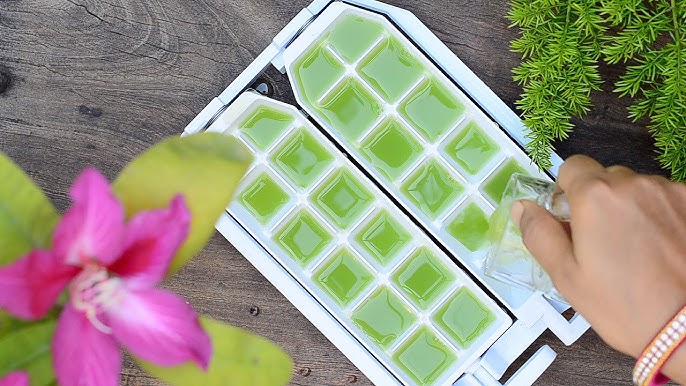 Freeze this plant into ice cubes and watch your skin glow instantly!