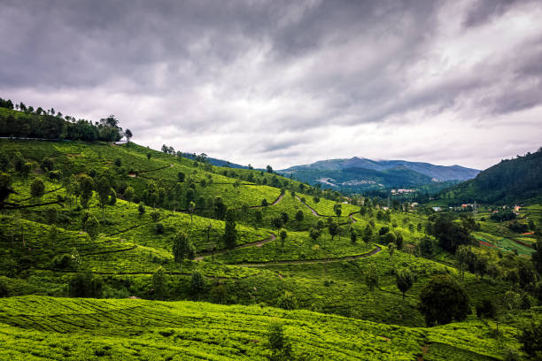 Forget Ooty—locals swear by these 7 hidden hill escapes near Coimbatore!