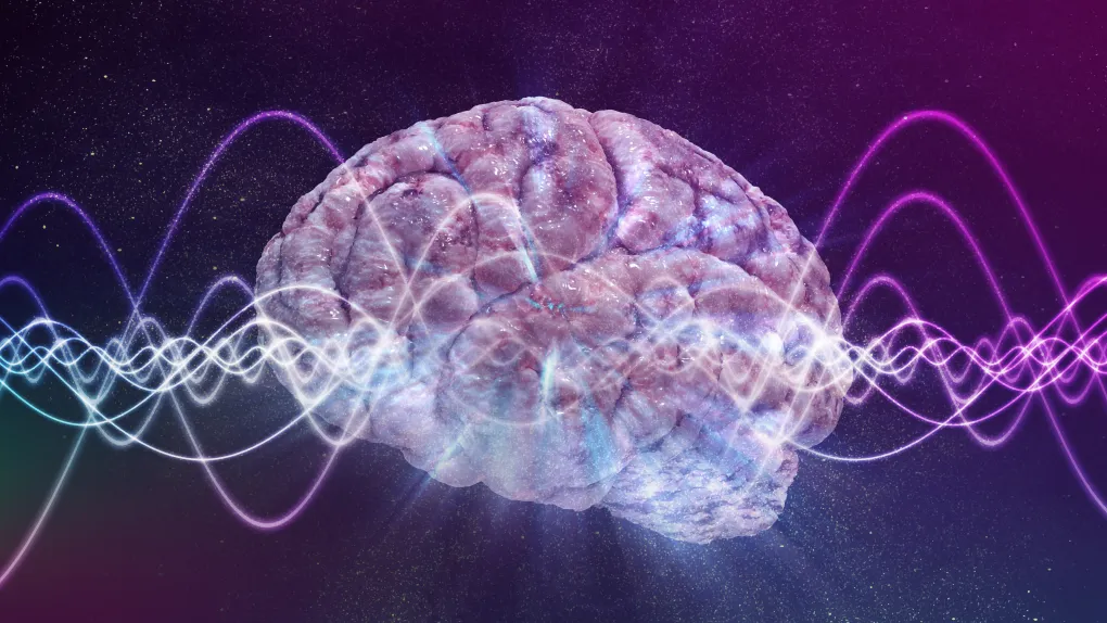 Scientists explore consciousness beyond biology, it can reshape your reality!